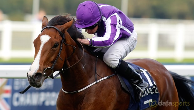 Aidan-O-Brien-Minding-return-Horse-Racing