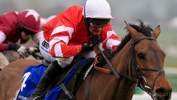 Coneygree-Horse-Racing-Kerry-National